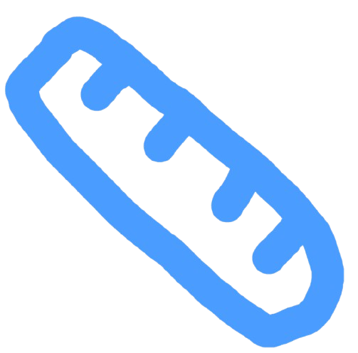 AutoCAD